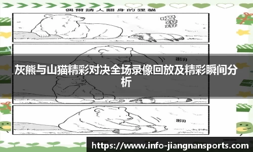 灰熊与山猫精彩对决全场录像回放及精彩瞬间分析