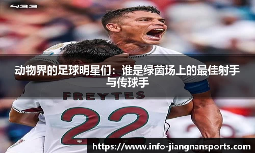 动物界的足球明星们：谁是绿茵场上的最佳射手与传球手